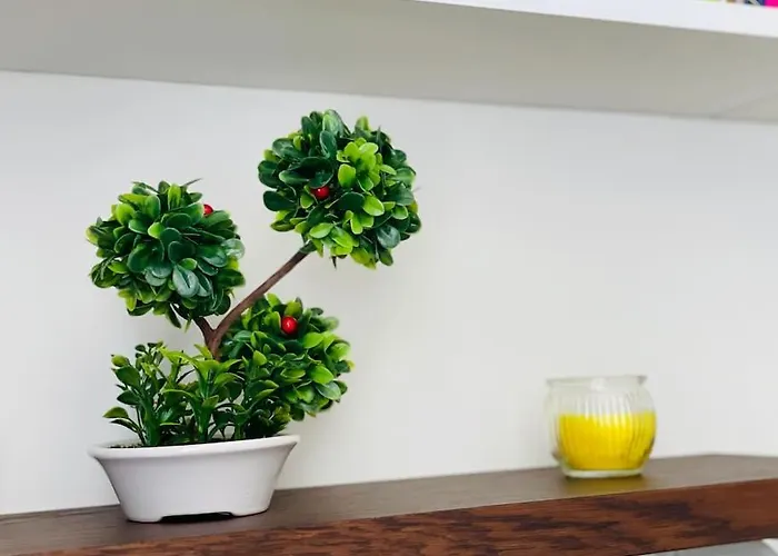 Positano Apartmán Varna